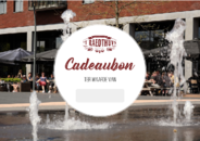 't Raedthuys Dronten's cadeaubon