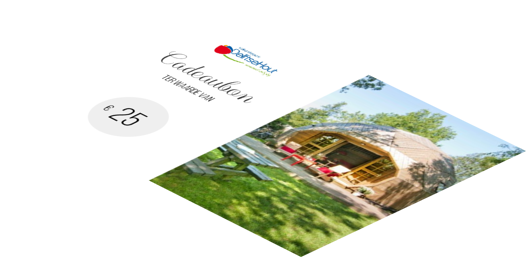 Vakantiepark Delftse Hout's cadeaubon